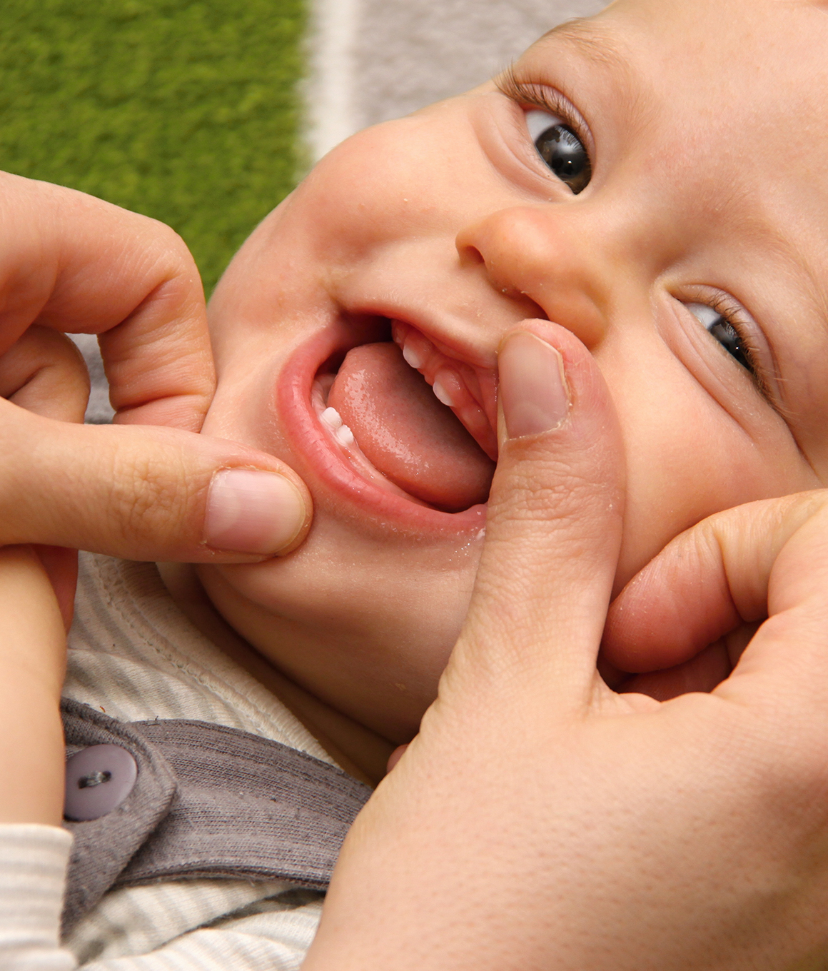 Hands gently pulling back lips of smiling toddler to show their budding teeth